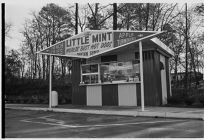 The Little Mint advertisment